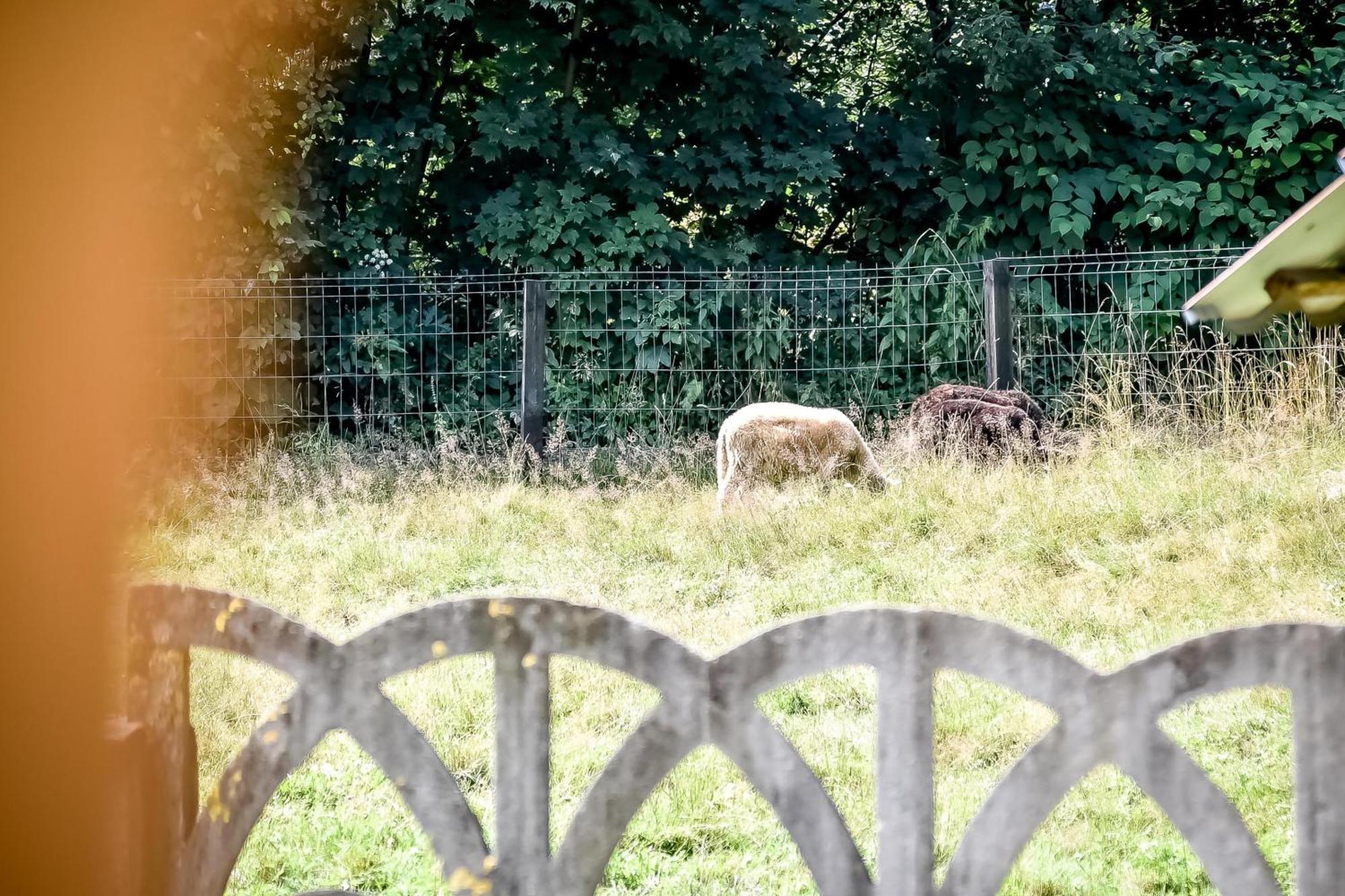 Domek Pod Brzyzkiem Bialka Tatrzanska Dış mekan fotoğraf